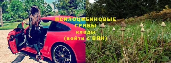 ALPHA PVP Иннополис