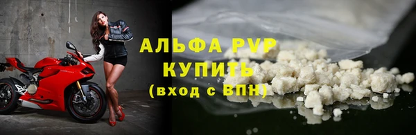 ALPHA PVP Иннополис