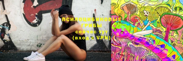 прущая мука Инта