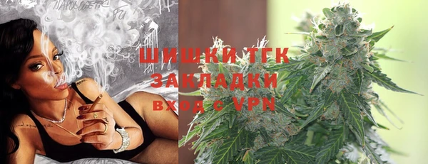 ALPHA PVP Иннополис