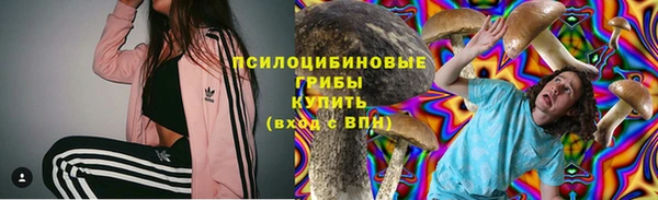прущая мука Инта